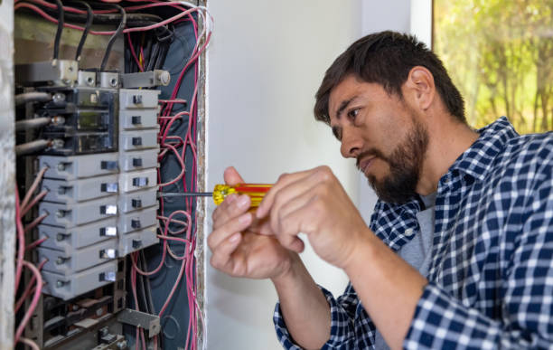 Best Electric Panel Repair  in Show Low, AZ